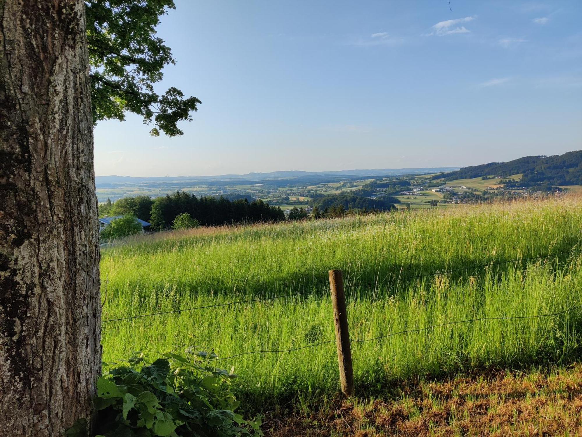 Pension Holzapfel Sankt Georgen im Attergau Esterno foto